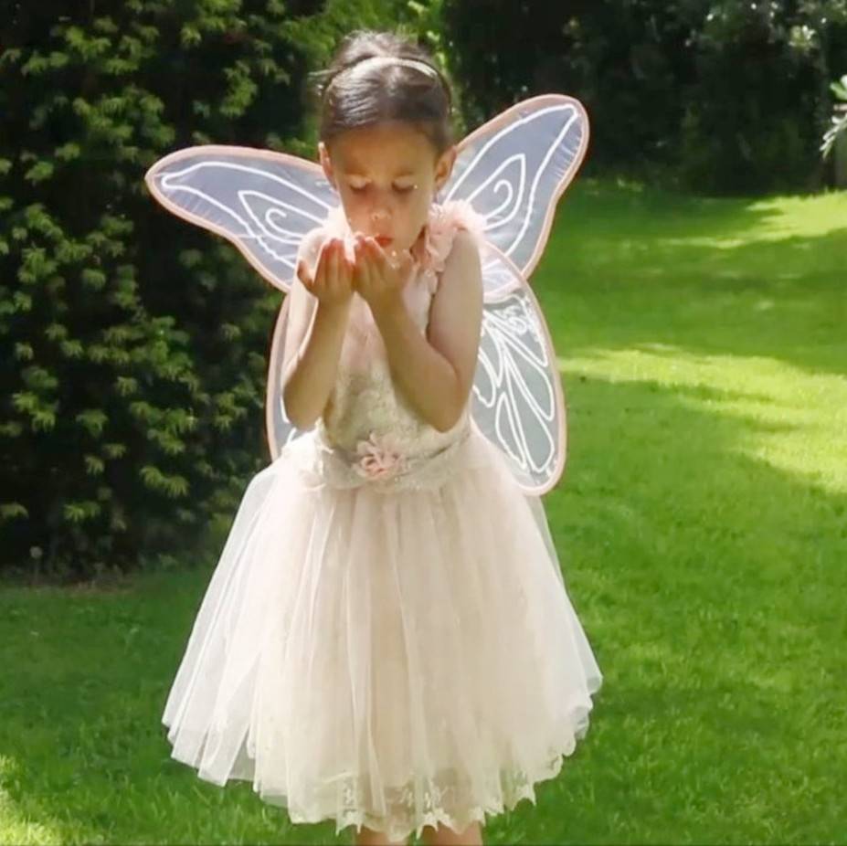 Image of Fairy Dressing Up 3yrs+