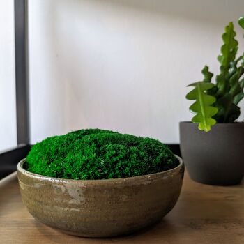 Preserved Moss In A Small Ceramic Handmade Bowl, 5 of 8