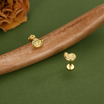 Sterling Silver Ammonite 16 G Flat Back Labret Earrings, 2 of 12