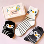 Striped Owl Three Pairs Of Socks In A Gift Box, thumbnail 1 of 8