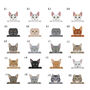 Personalised Cat Adventures Pop Out Photo Box, thumbnail 8 of 10