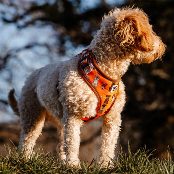 Orange Cartoon Adjustable Dog Harness, 10 of 12