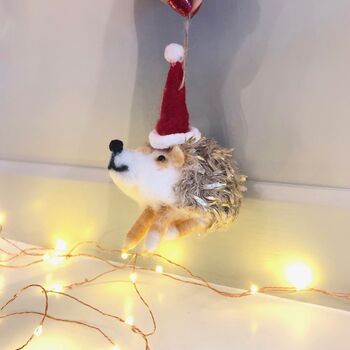 Hedgehog With Christmas Hat, 2 of 3