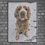 Personalised Portrait For Pet Lovers, thumbnail 3 of 7