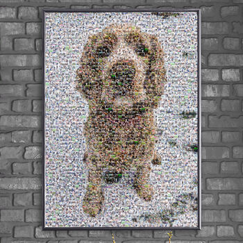 Personalised Portrait For Pet Lovers, 3 of 7