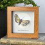 Personalised Hand Drawn Moth Artwork With Book Pages And Moon, thumbnail 7 of 7