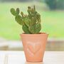Mini Terracotta Planter With Embossed Heart Mothers Day, thumbnail 2 of 4