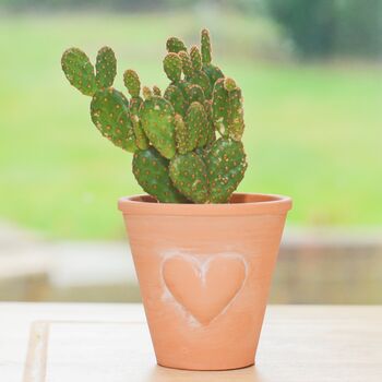 Mini Terracotta Planter With Embossed Heart Mothers Day, 2 of 4