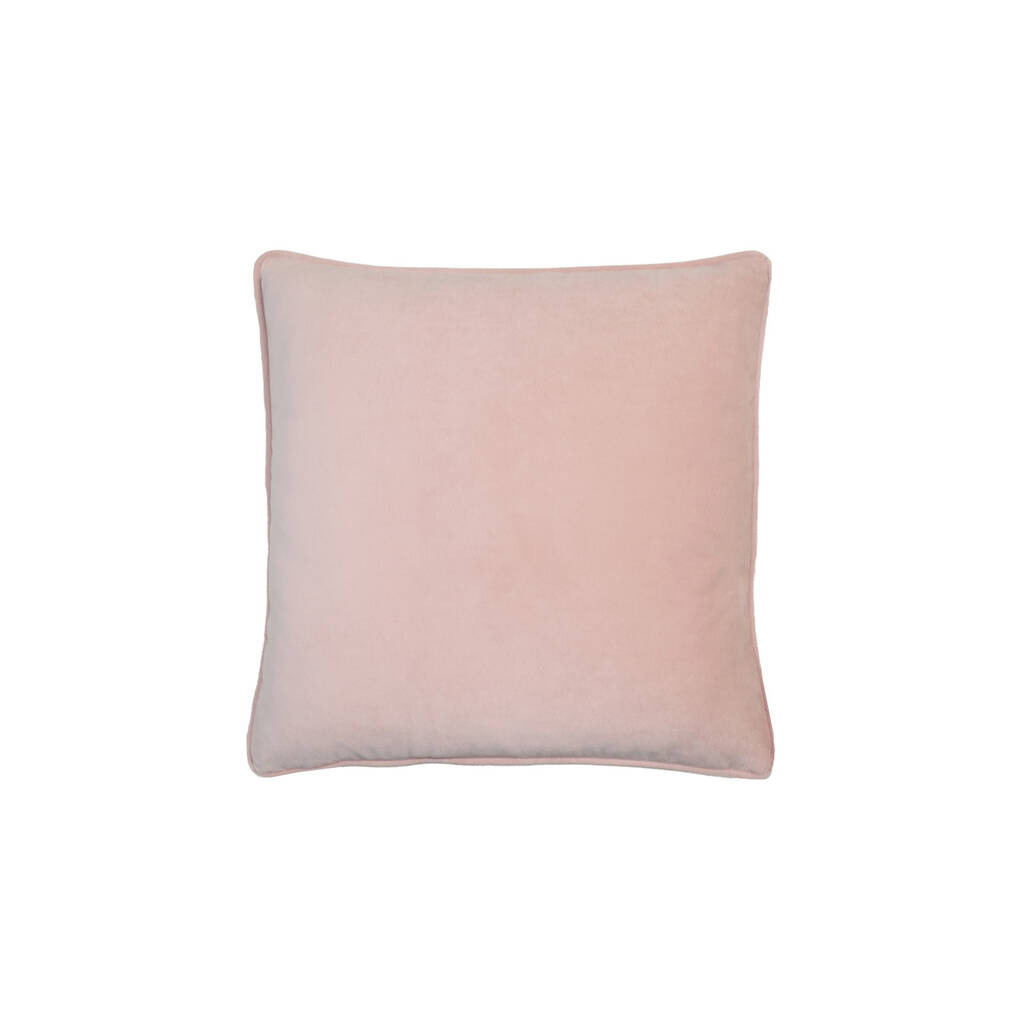 Blush Pink Piped Velvet Cushion By Tlc Home