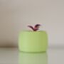 Vibrant Pot For Houseplants, Smooth Curve Design, thumbnail 6 of 11