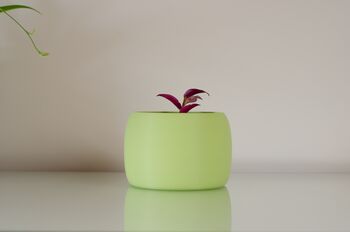 Vibrant Pot For Houseplants, Smooth Curve Design, 6 of 11