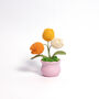 Joyful Daisy And Tulip Crochet Plant Pot Collection, thumbnail 7 of 7