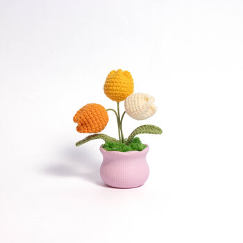 Joyful Daisy And Tulip Crochet Plant Pot Collection, 7 of 7