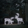 Set Of Two Extra Large Light Up Rattan Reindeer Outdoor Figures, thumbnail 3 of 5