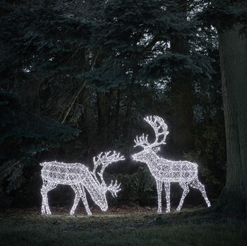 Set Of Two Extra Large Light Up Rattan Reindeer Outdoor Figures, 3 of 5