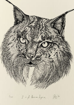 I Is For Iberian Lynx Illustration Print, 3 of 6