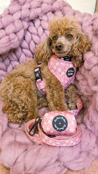 Dusky Pink Daisies Floral Dog Collar, 6 of 8