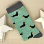 Men's Bamboo Little Sausage Dogs Socks In Mint, thumbnail 1 of 2