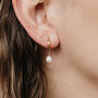 Freshwater Pearl Drop Earrings, thumbnail 1 of 7