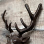 Pair Of Stanbridge Cast Iron Deer Stag Coat Hooks, thumbnail 6 of 6