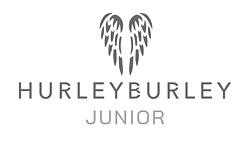 Hurleyburley junior logo