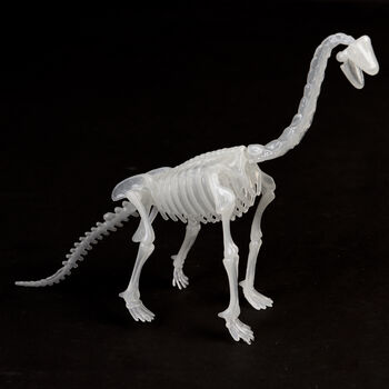 Glow In The Dark Dinosaur Skeleton Kit, 7 of 9