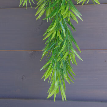 75cm Artificial Hanging Fronded Thyme Plant, 2 of 4