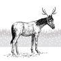 Neigh Bells Ring, Horse Lover Christmas Card, thumbnail 2 of 2