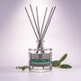 Fly Repellent Kitchen Reed Diffuser 400ml Natural, thumbnail 1 of 2