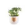 Gold Heart Mini Planter With A Succulent Or Cacti, thumbnail 6 of 7
