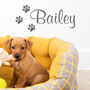 Personalised Cat Or Dog Name Wall Sticker, thumbnail 1 of 3