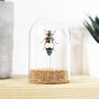 Banded Metallic Jewel Beetle Bell Jar, thumbnail 1 of 4