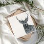 Stag Wildlife Greeting Card, thumbnail 1 of 7