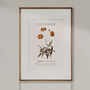 Birth Flower Wall Print 'Cosmos' For October, thumbnail 6 of 9
