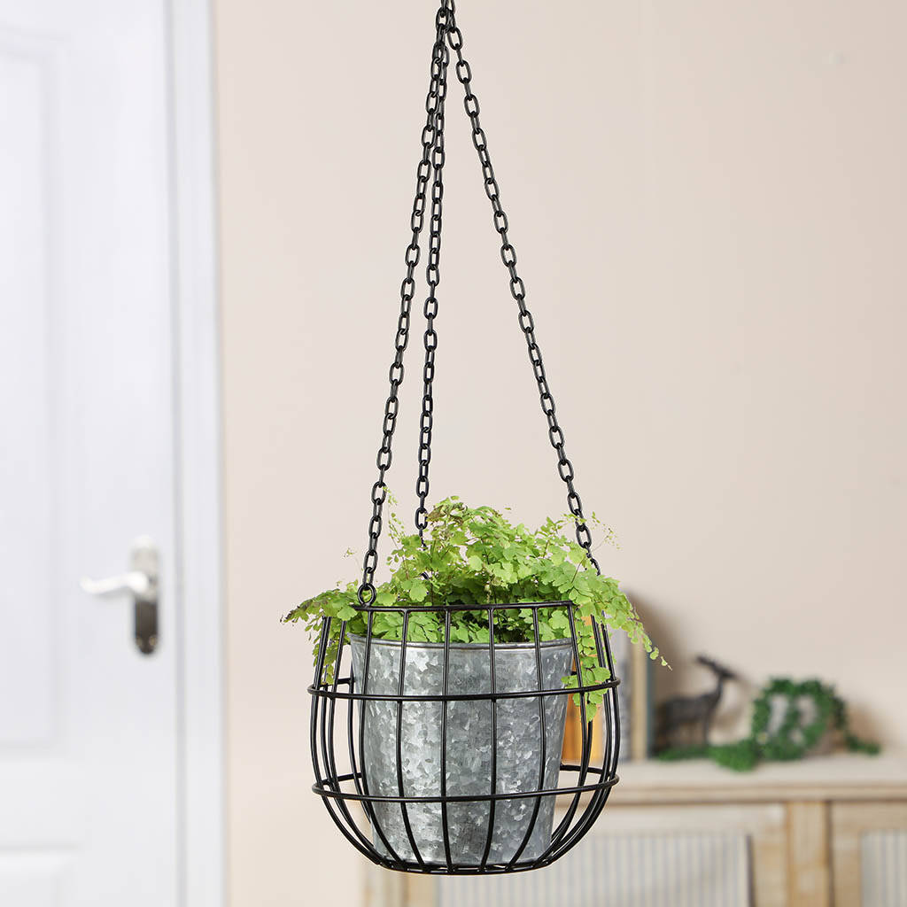 Contemporary Galvanised Hanging Planter By Dibor 6863