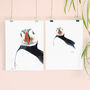 Inky Puffin Illustration Print, thumbnail 7 of 12