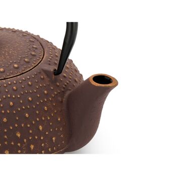 Cast Iron Teapot Anhui Design 900ml Steel Filter, 4 of 8