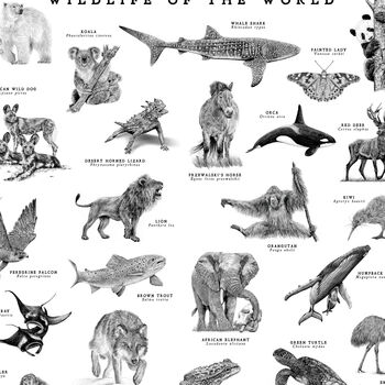 Wildlife Of The World Art Print, 3 of 7