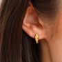 Gold Plated Ear Hugging Snake Hoop Earrings, thumbnail 1 of 6