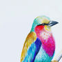 Lilac Breasted Roller Bird Print, thumbnail 2 of 4
