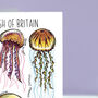 Jellyfish Of Britain Greeting Card, thumbnail 7 of 8