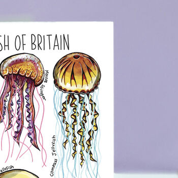 Jellyfish Of Britain Greeting Card, 7 of 8