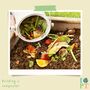 Children's Eco Activity Box: Food Glorious Food, thumbnail 6 of 12