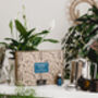 Garden Lovers Soy Candle Making Kit, thumbnail 2 of 12