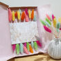 Rainbow Letterbox Dried Bunny Tail Flowers, thumbnail 1 of 2