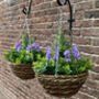 Set Of Two Artificial Topiary Lavender Hanging Baskets, thumbnail 4 of 4