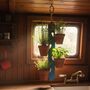 Four Pot Hanging Plant Holder, thumbnail 1 of 5