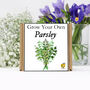 Gardening Gift. Grow Your Own Herbs. Parsley Seeds Kit, thumbnail 2 of 4