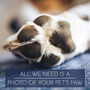 Personalised Pets Paw Print Heart Keyring, thumbnail 3 of 5