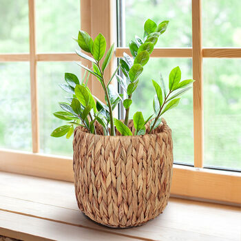 Set Of Two Water Hyacinth Planter Baskets, 3 of 3